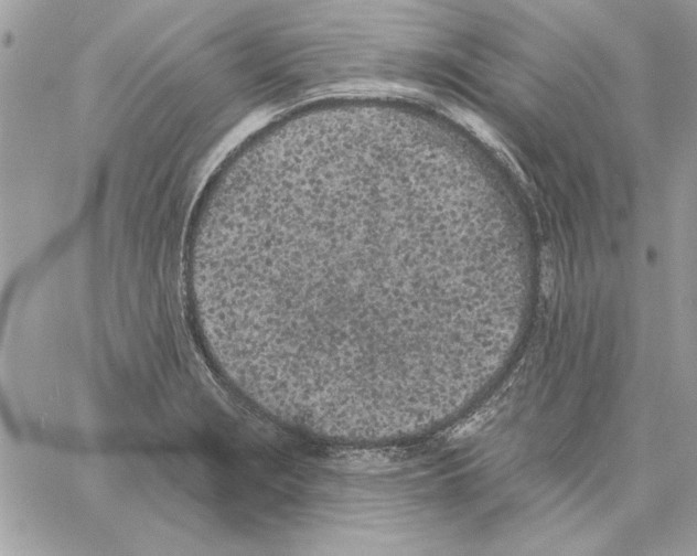 X0000061731229200512302137