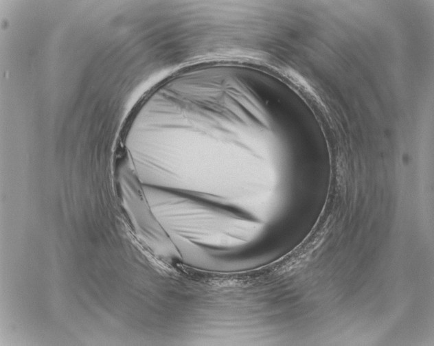 X0000061731230200512302137