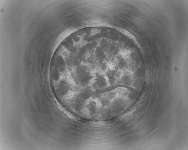 X0000061731231200512302137