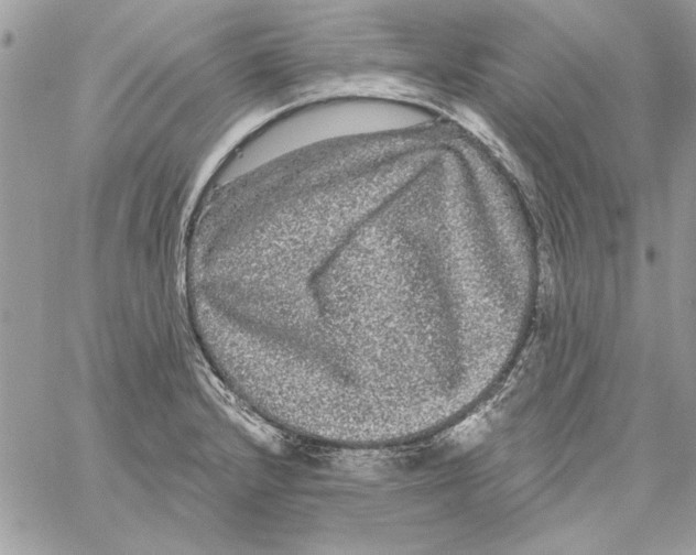 X0000061731232200512302137