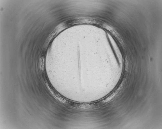 X0000061731233200512302137