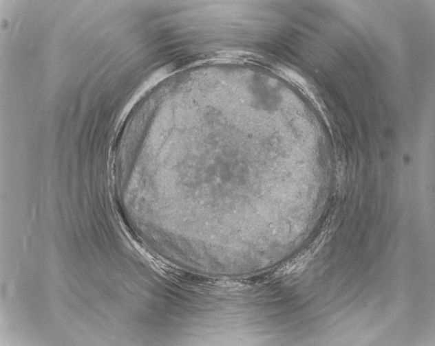 X0000061731235200512302137