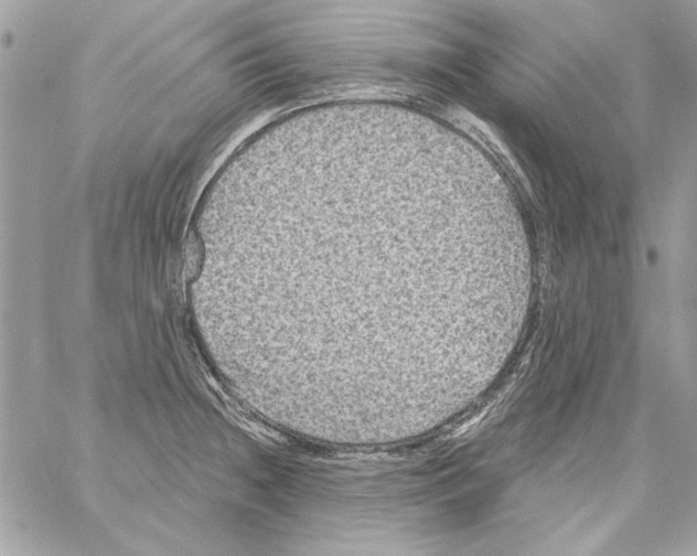 X0000061731236200512302137