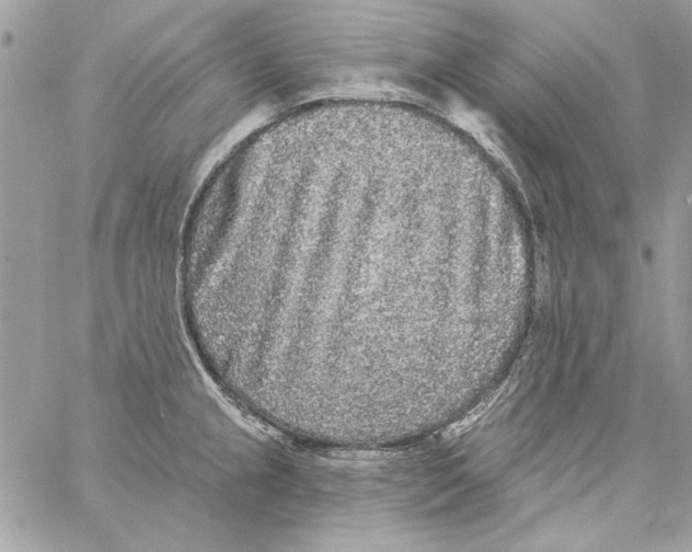 X0000061731237200512302137