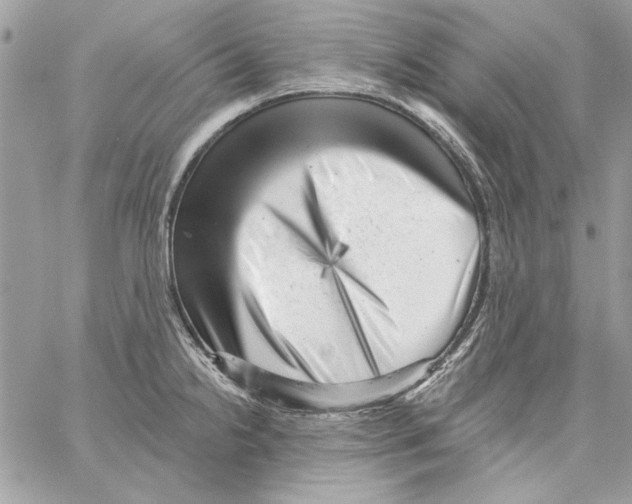 X0000061731238200512302137