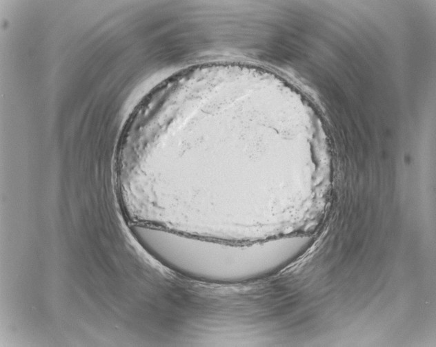 X0000061731239200512302137