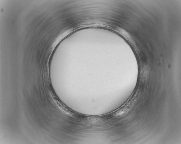 X0000061731242200512302137