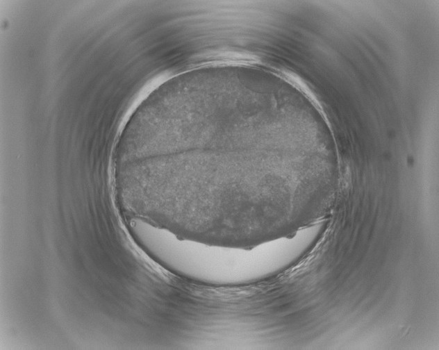 X0000061731243200512302137