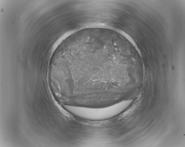 X0000061731245200512302137