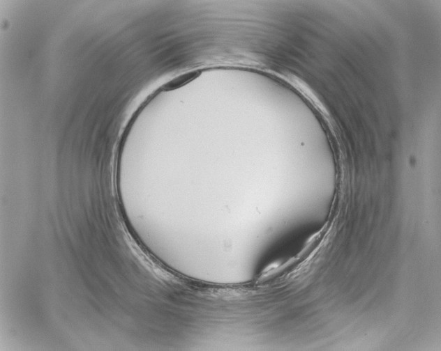 X0000061731246200512302137