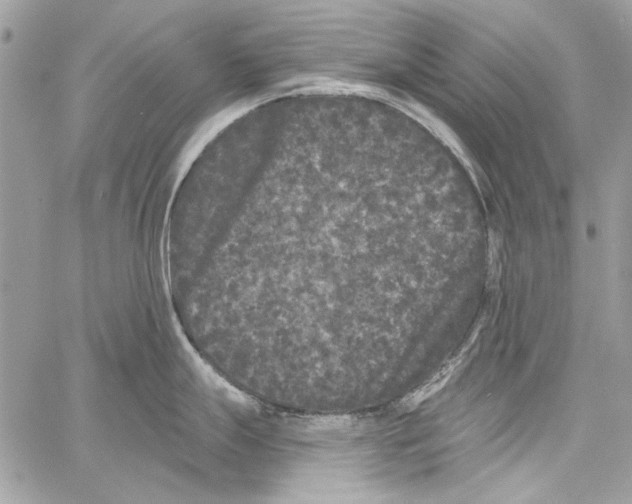 X0000061731247200512302137