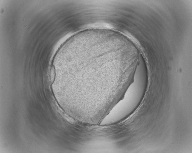 X0000061731248200512302137