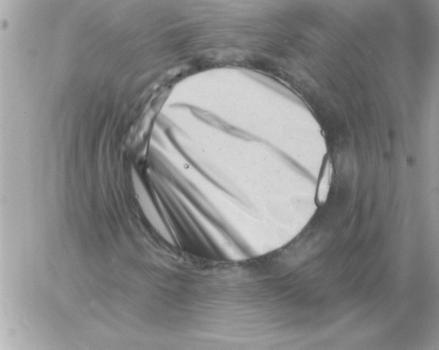 X0000061731250200512302137