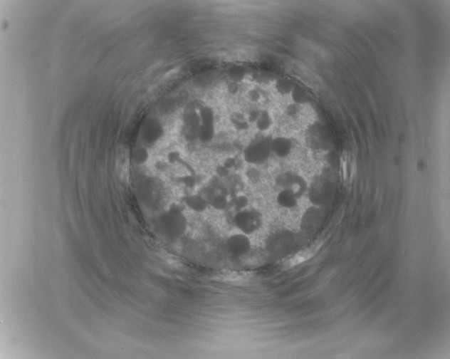 X0000061731251200512302137