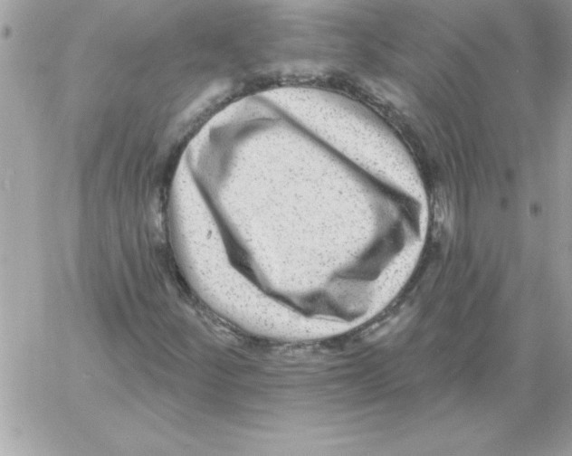 X0000061731252200512302137