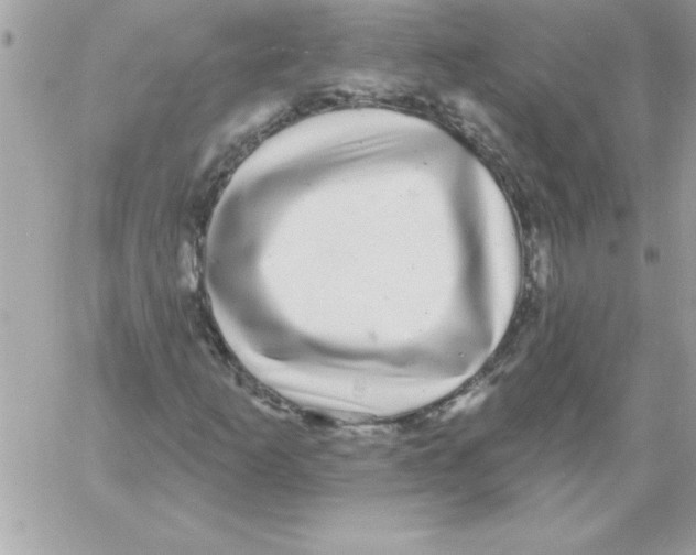 X0000061731253200512302136