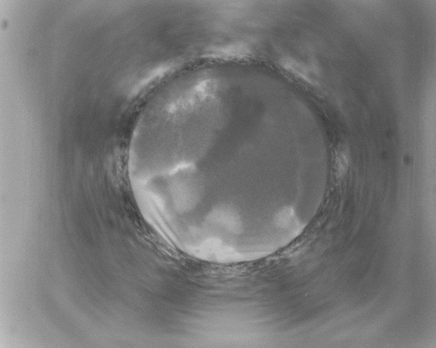 X0000061731254200512302136