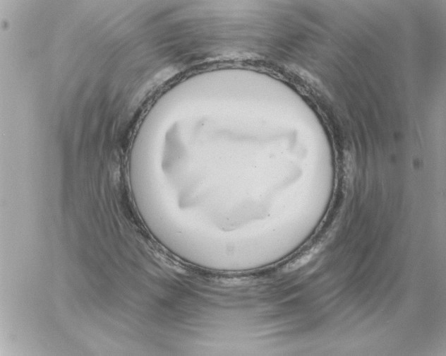 X0000061731257200512302136