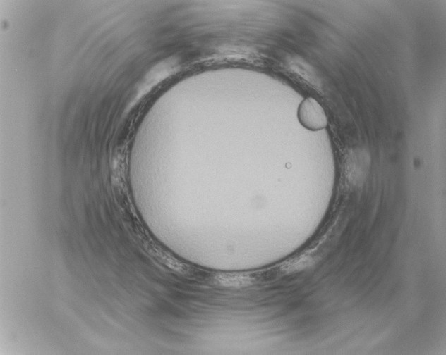 X0000061731258200512302136