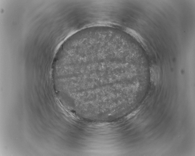 X0000061731260200512302136