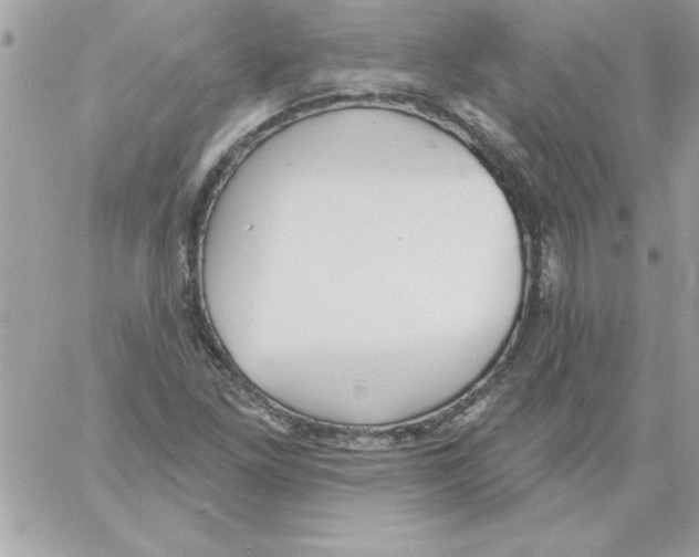 X0000061731261200512302136