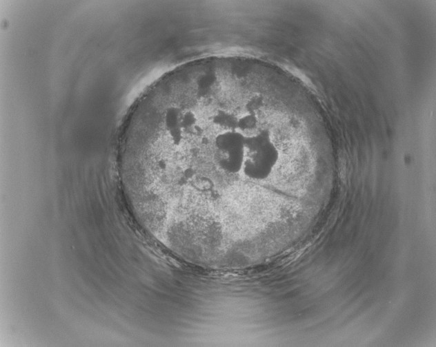 X0000061731263200512302136