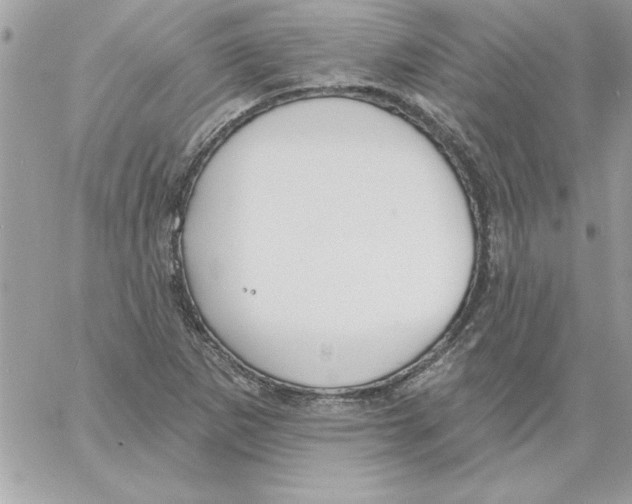 X0000061731265200512302136