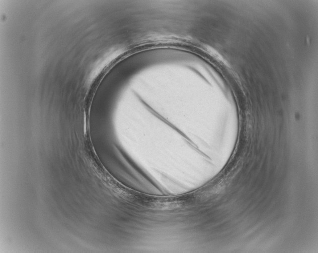 X0000061731269200512302136