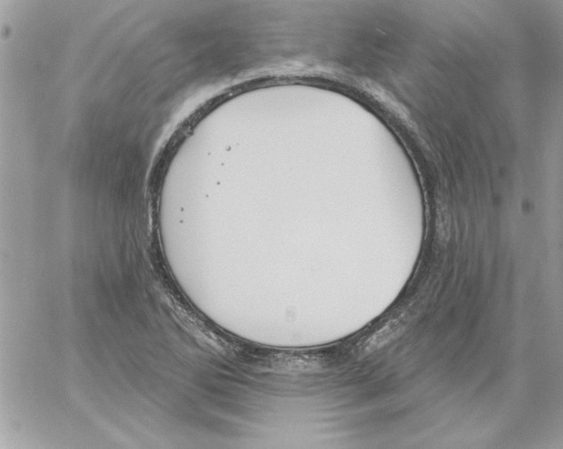 X0000061731270200512302136