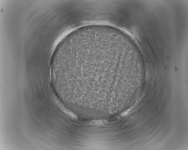 X0000061731271200512302136