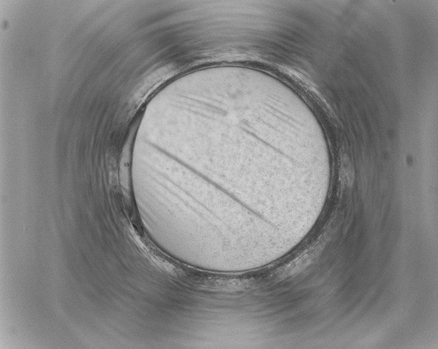 X0000061731273200512302136