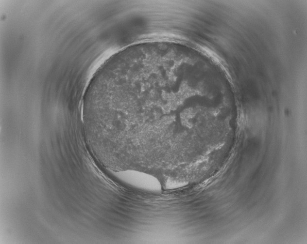 X0000061731275200512302136