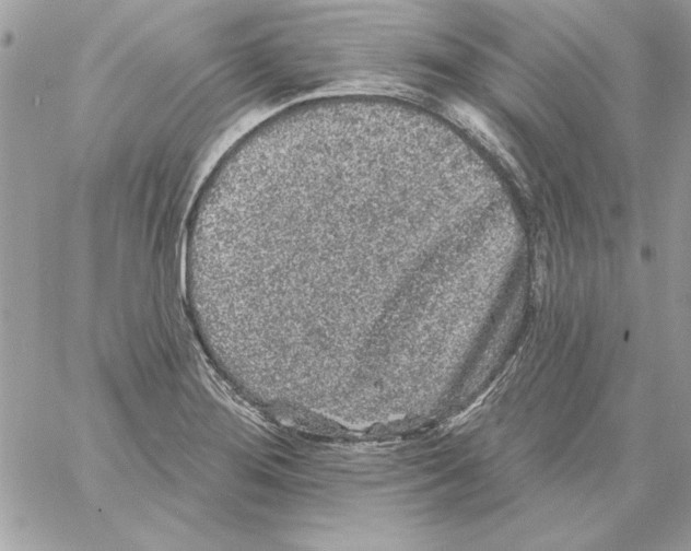 X0000061731276200512302136