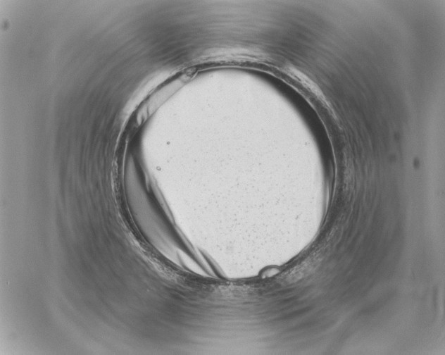 X0000061731277200512302136