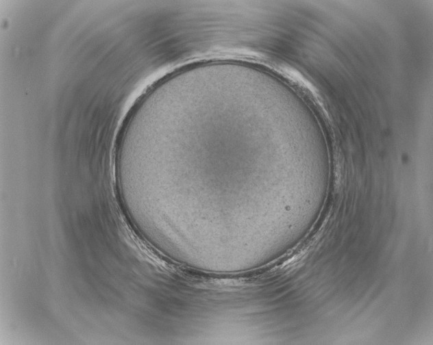 X0000061731280200512302136