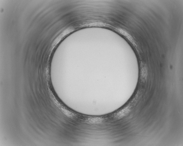 X0000061731282200512302136