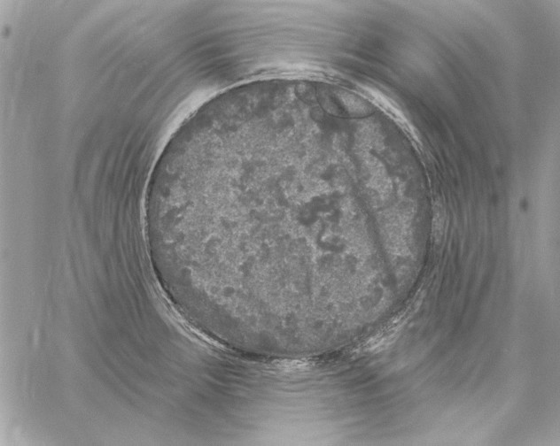 X0000061731283200512302136