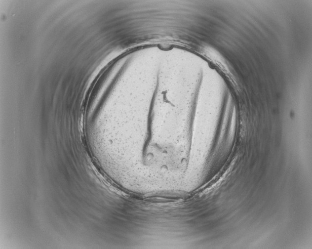 X0000061731284200512302136