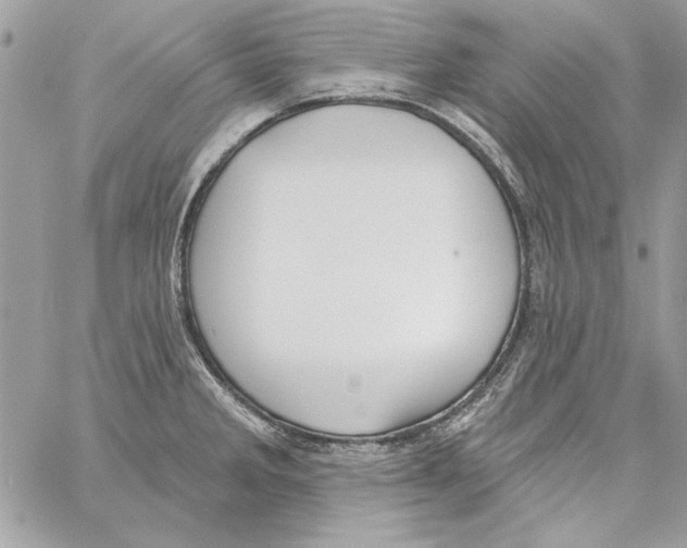 X0000061731285200512302136