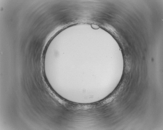 X0000061731286200512302136