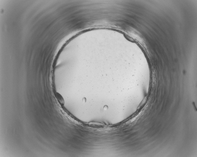 X0000061731288200512302136