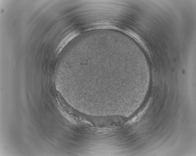 X0000061731289200512302136