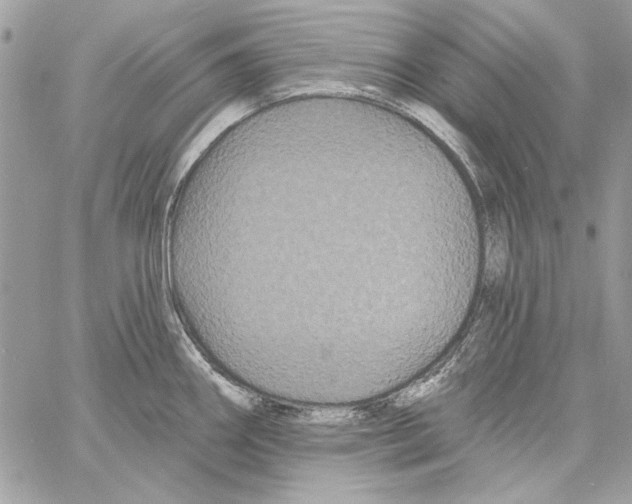 X0000061731290200512302136