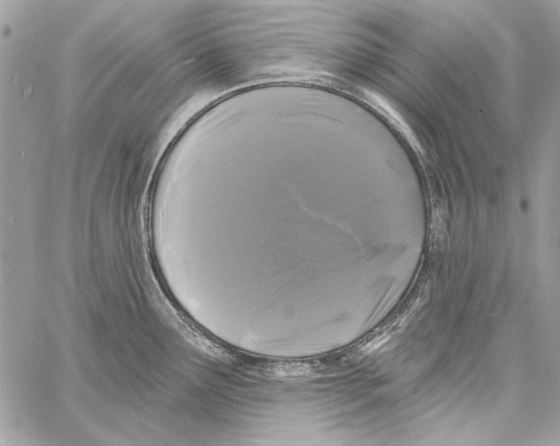 X0000061731291200512302136