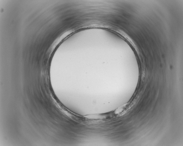 X0000061731293200512302136