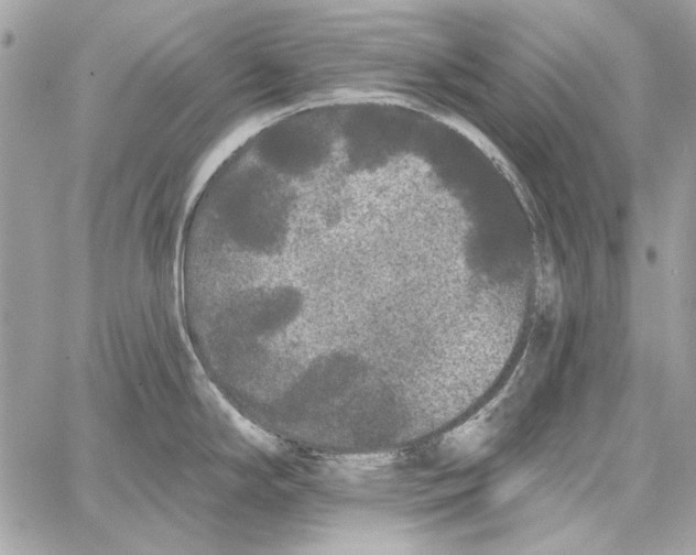 X0000061731294200512302136