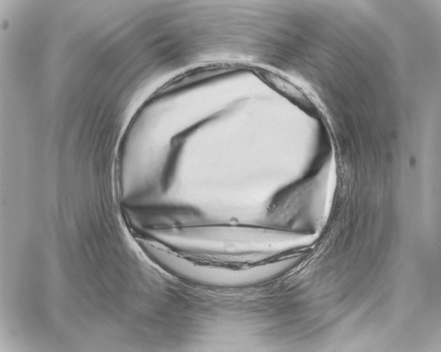 X0000061731295200512302136