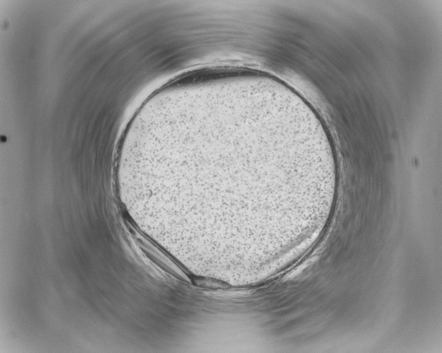 X0000061731296200512302136