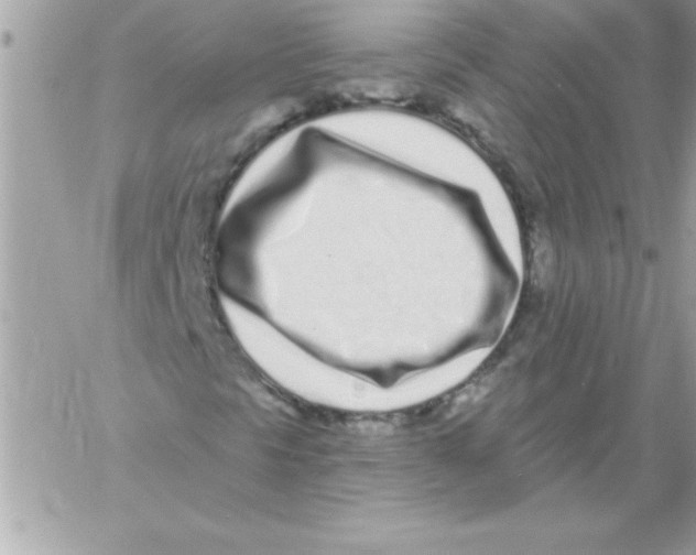 X0000061731297200512302135