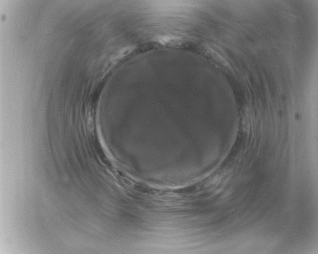 X0000061731298200512302135